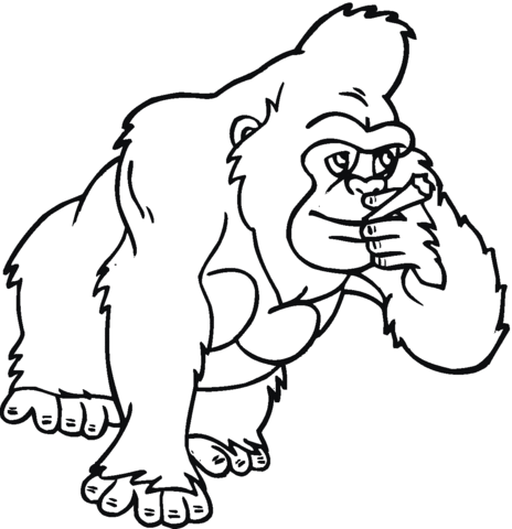 Gorilla Primate Coloring Page